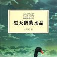 黑天鵝紫水晶(紫水晶（沈石溪小說）)