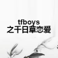 tfboys之千日草戀愛