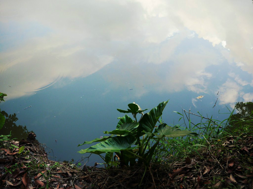 巷頭郭屋村