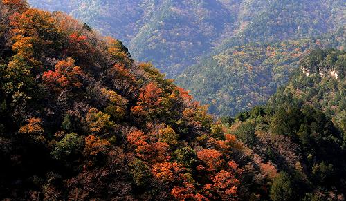 蟒頭山