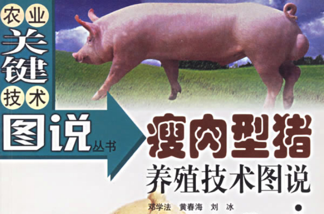 瘦肉型豬養殖技術圖說