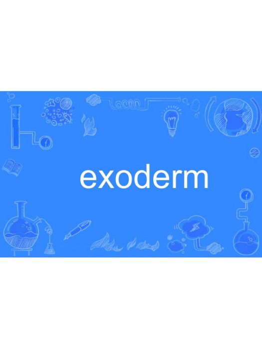 exoderm