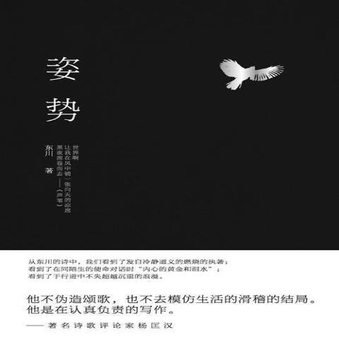 姿勢(2014年作家出版社出版的圖書)