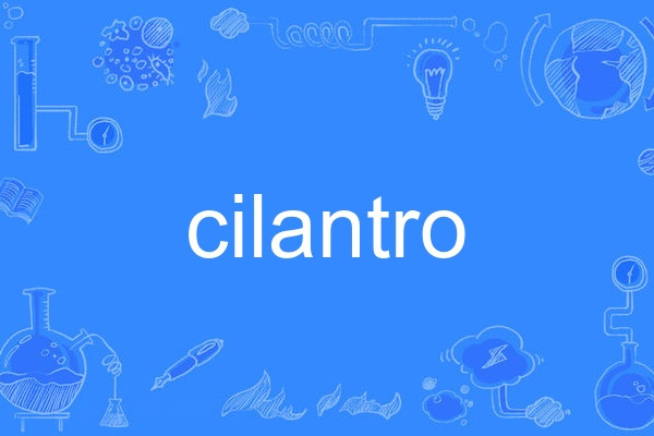 cilantro