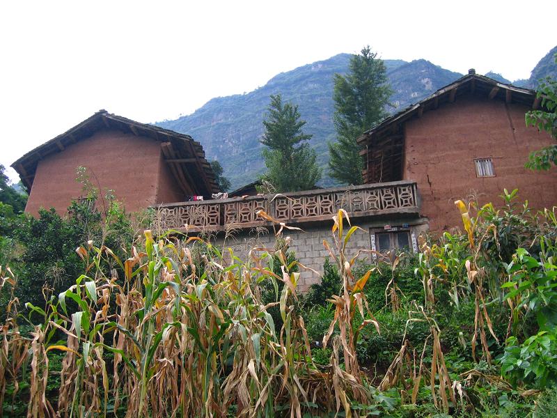 龍山村(雲南省昭通市巧家縣茂租鄉龍山村)