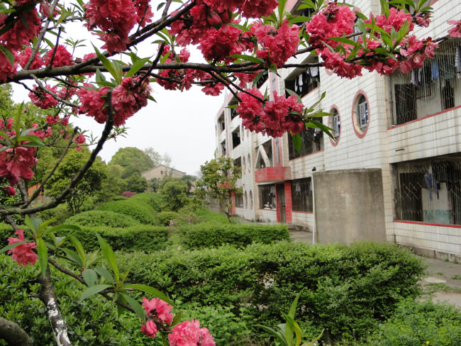 武漢市江夏區山坡中學-美麗的學生公寓一瞥