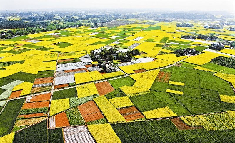 五峰村(四川新津縣普星鎮下轄村)