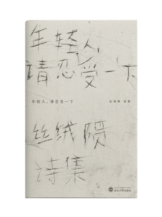 年輕人，請忍受一下(2019年武漢大學出版社出版的圖書)