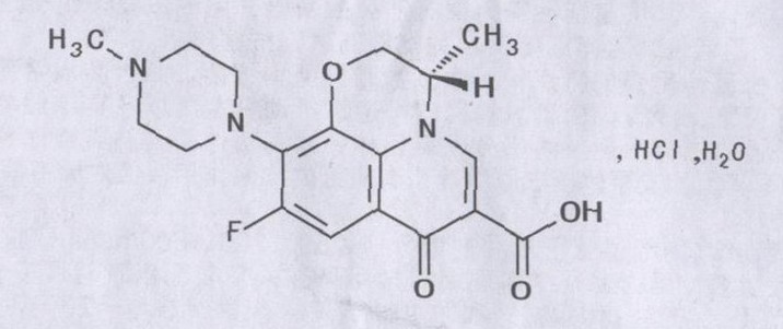 鹽酸左氧氟沙星膠囊