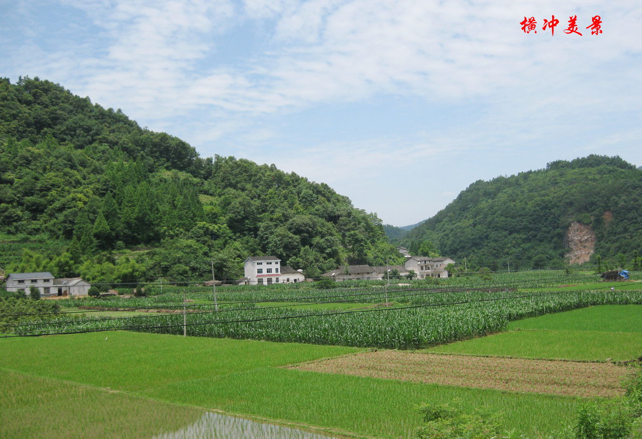 橫衝村(雲南省昆明市呈貢區馬金鋪街道橫衝村委會)