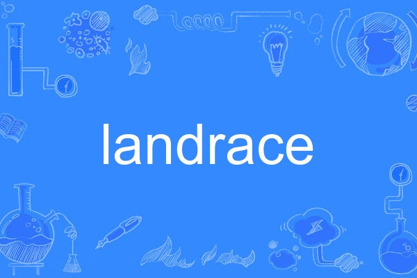 landrace