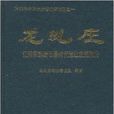 龍虬莊：江淮東部新石器時代遺址發掘報告