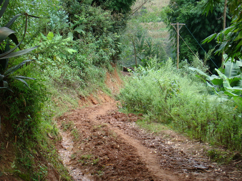 甸頭村李家半自然村村內道路