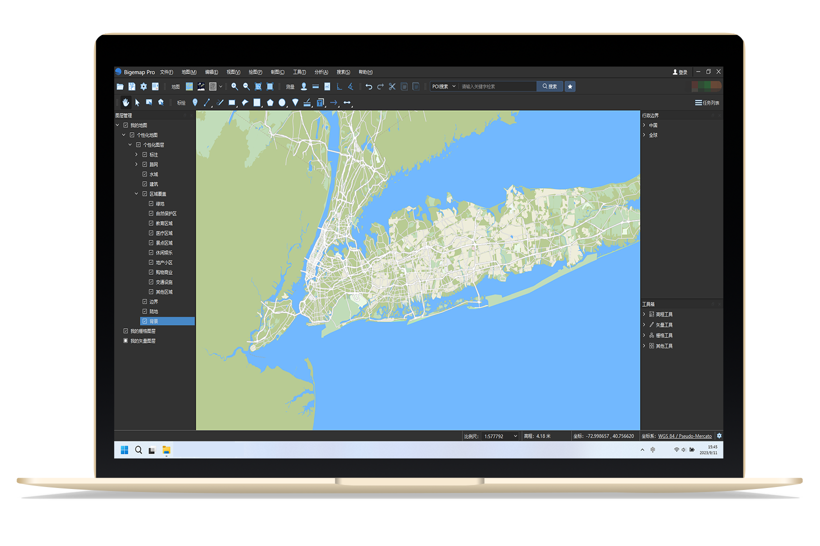 Bigemap Pro