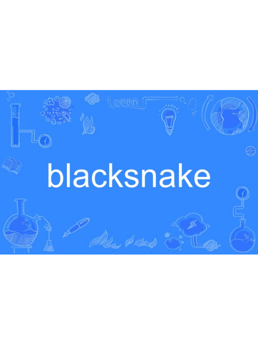 blacksnake