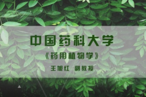 藥用植物學(中國藥科大學建設的慕課)