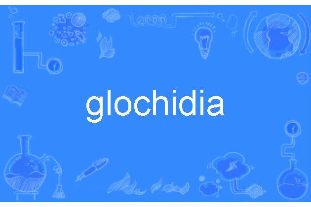 glochidia