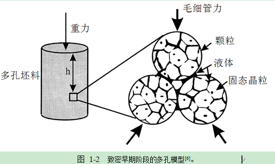 圖 1-2 緻密早期階段的多孔模型