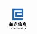 武漢楚鼎信息技術有限公司