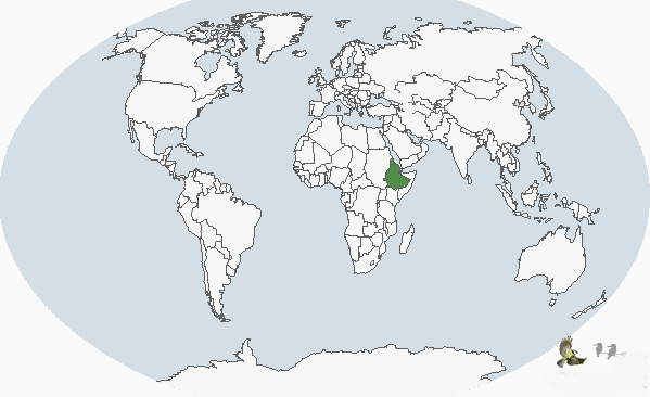 衣索比亞愛情鳥分布圖