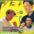 激情年代(2002年金韜執導電視劇)
