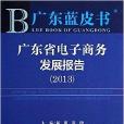 廣東省電子商務發展報告