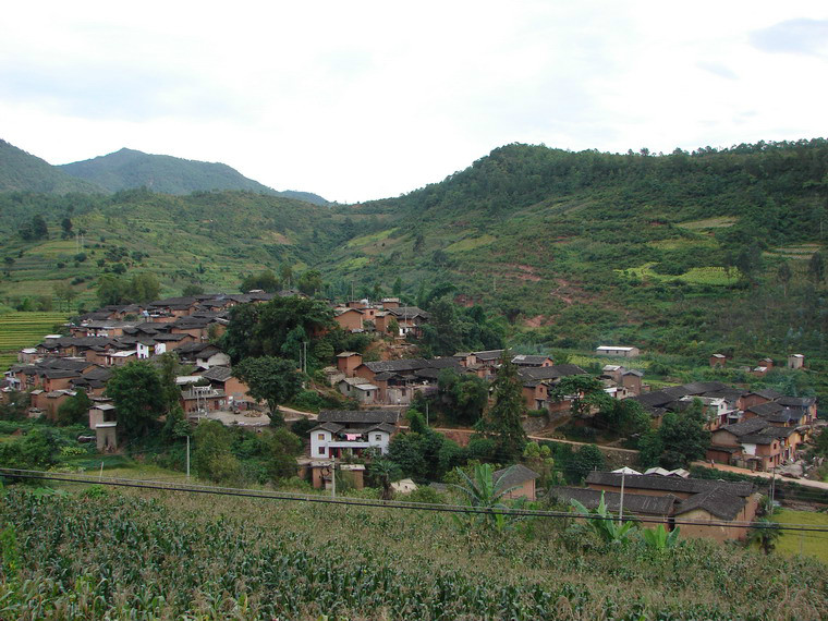 青龍寨村(岔河鄉青河村委會下轄村)