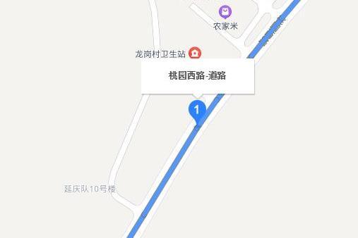 桃園路(廣州市從化區桃園路)