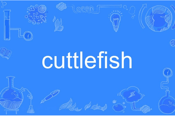 cuttlefish