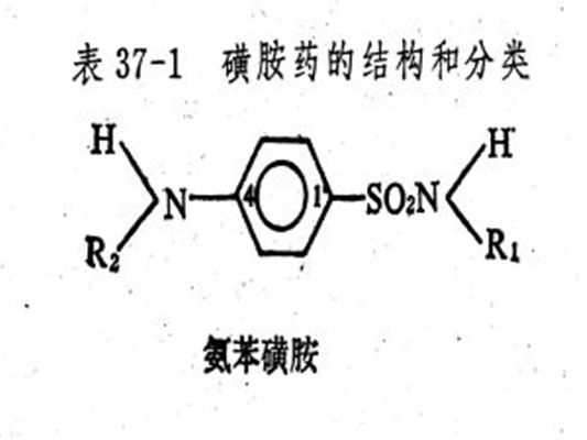 磺胺藥(磺胺藥物)