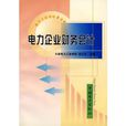 電力企業財務會計