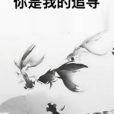 你是我的追尋(季小陽著網路小說)