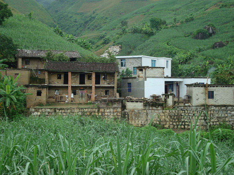 梁子田村(雲南華坪縣興泉鎮下轄村)