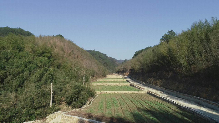 臨安育種基地320畝