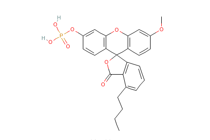 O-甲基-O-（N-丁基螢光素）磷酸鹽