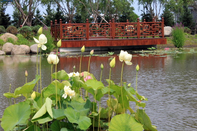 大觀山文化陵園