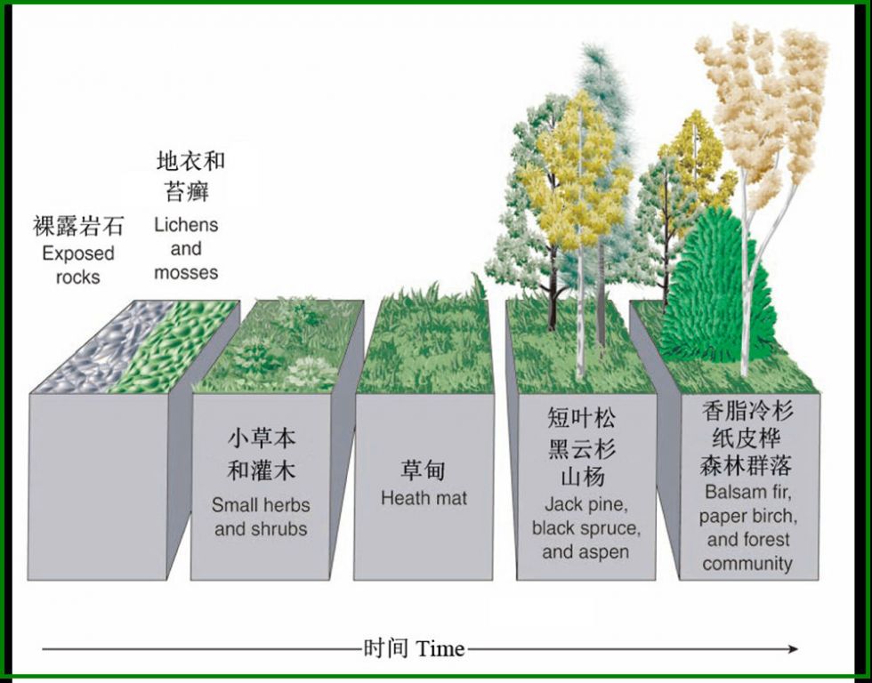 土壤生態系統