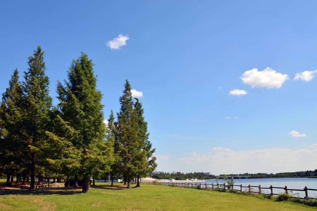 鵝湖玫瑰文化園