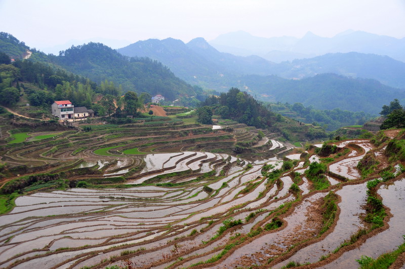 雷公岩梯田