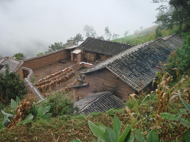 鵝毛村(雲南省祿勸縣團街鎮下轄村)