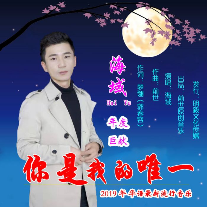 你是我的唯一(海域演唱歌曲)