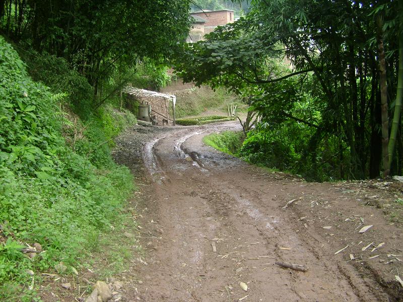 進村道路