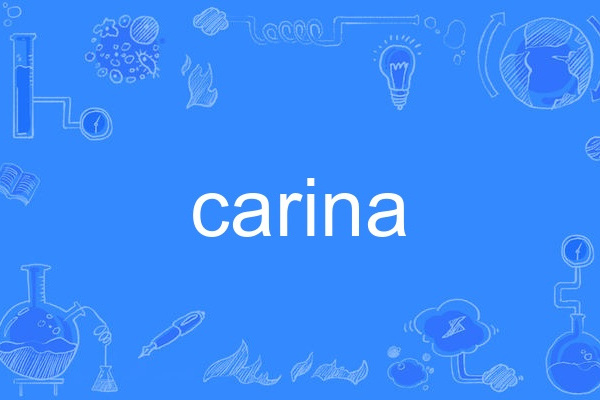 carina