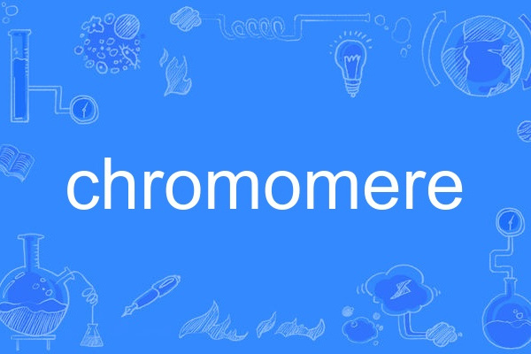 chromomere