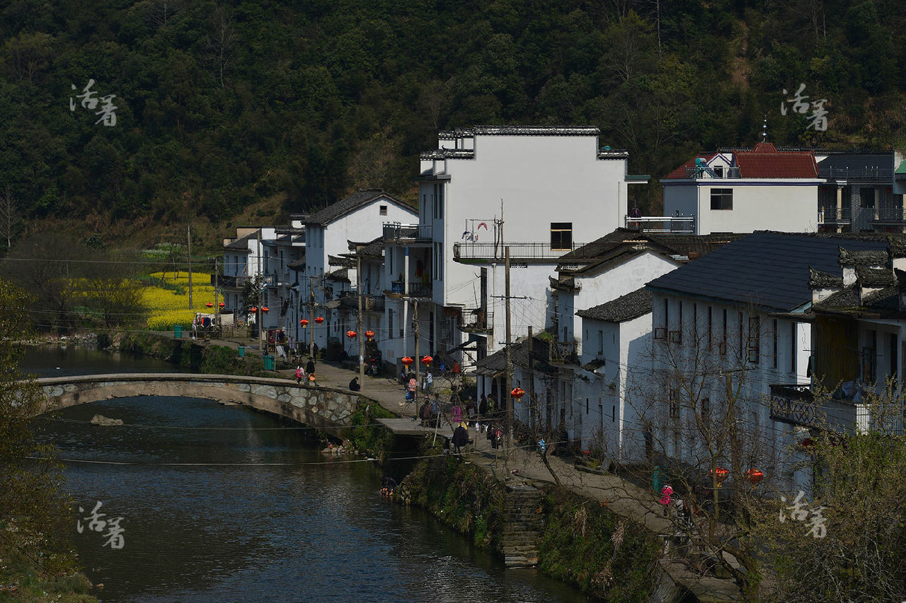 陳霞村