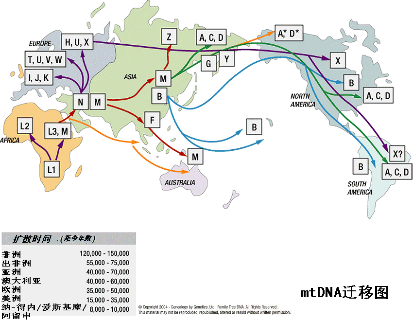 人類粒線體DNA單倍型類群遷移圖