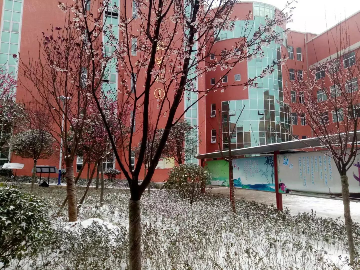 雪中校園