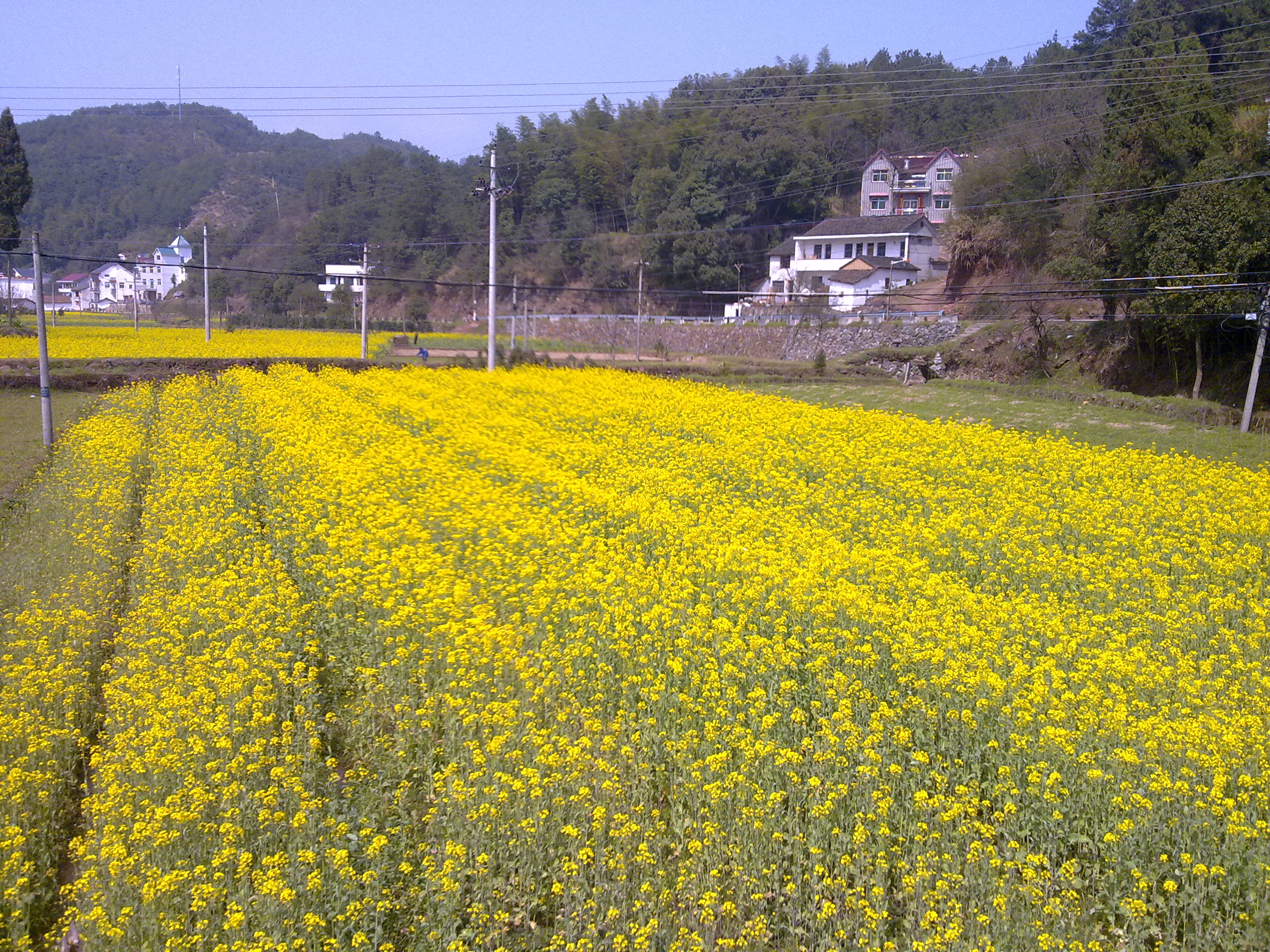 團結村村莊一角