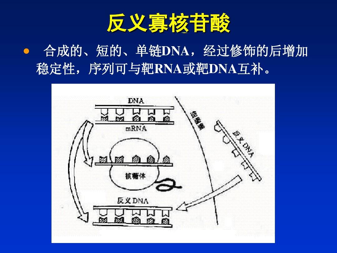 反義寡核苷酸