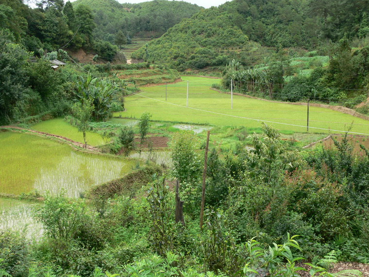 黃家坡自然村(雲南臨滄雲縣涌寶鎮木瓜河村委黃家坡自然村)